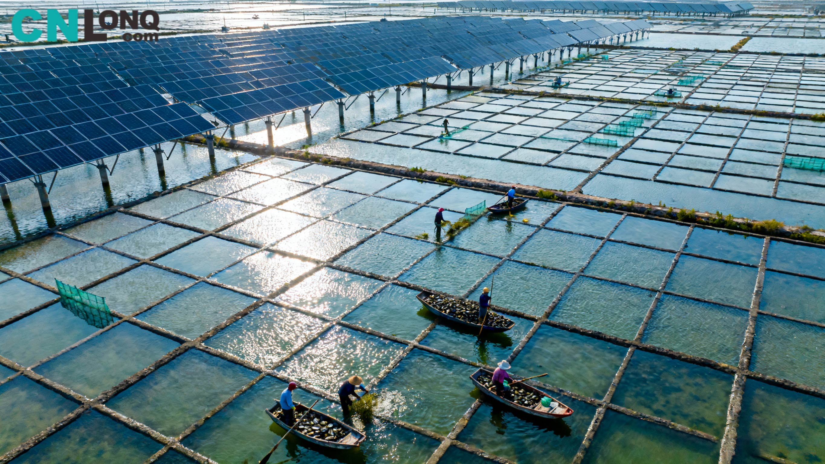 Guztira 1.2 mila milioi RMB-ko inbertsioa! Xindao Qingkou Salt Field 250MW 